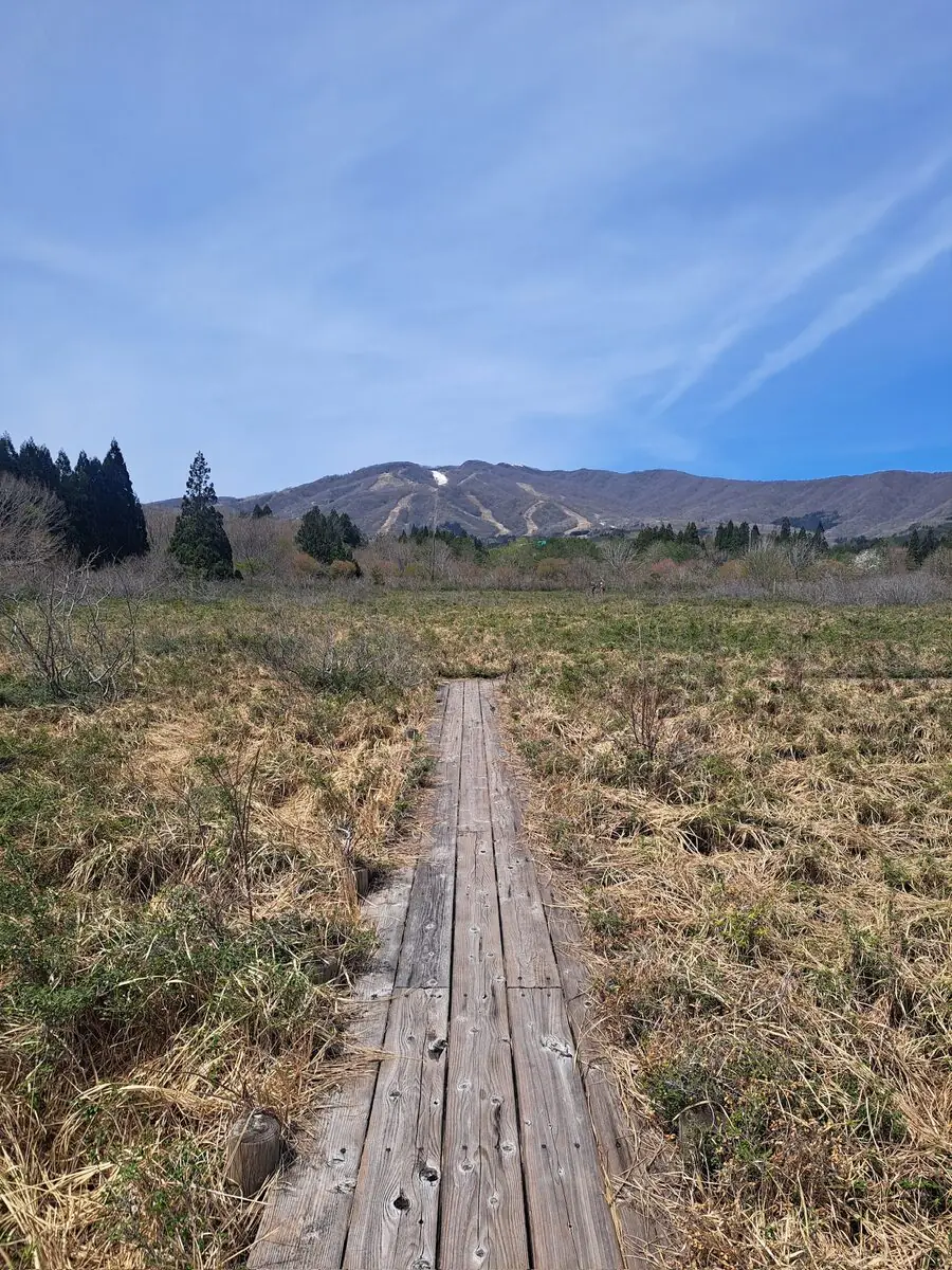 草紅葉に染まる高原湿原と、その中を抜ける木道