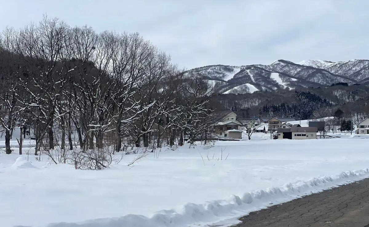 一面の雪に覆われたひるがの高原と雪山