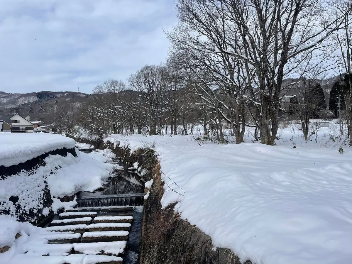 雪に覆われた冬の小川と林